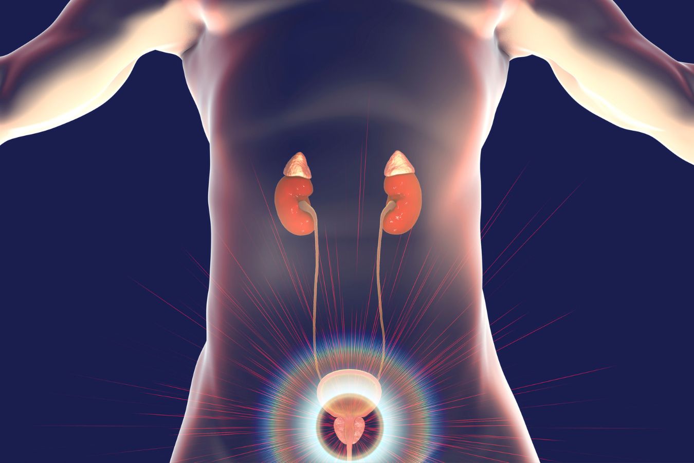 natural remedies for enlarged prostate