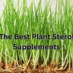 The Best Plant Sterol Supplements for Lowering Cholesterol