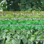 Sabroxy Review: Natural Nootropic for Memory & Focus